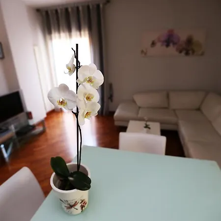 Orchidea Naples